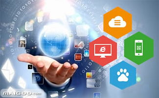 品牌介紹 龍采網(wǎng)站建設(shè) 龍采軟件開(kāi)發(fā)