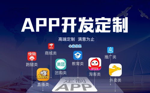 軟件開發(fā) 模板系統(tǒng) vs 定制方案的選擇策略